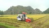 Thị xã Ba Đồn: Kết quả thực hiện tái cơ cấu xây dựng nền nông nghiệp toàn diện theo hướng hiện đại