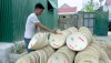 Sản phẩm nón lá vành nhựa của Công ty sản xuất nón lá công nghiệp Thành Sơn