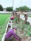 Chị em phụ nữ phường Quảng Phúc đã tích cực tham gia thực hiện mô hình “Tuyến đường hoa” và vệ sinh môi trường