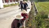 Chị em phụ nữ tích cực trồng hoa, làm vệ sinh đường làng ngõ xóm để bảo vệ môi trường