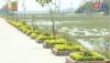 Một tuyến đường tại xã Quảng Hải được đầu tư xây dựng các bồn hoa, cây cảnh