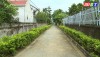 Mô hình “hàng rào xanh” của Hội LHPN thị xã Ba Đồn