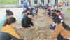 Thị xã Ba Đồn thường xuyên tổ mở các lớp dạy nghề tạo việc làm cho lao động nông thôn