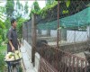 Mô hình nuôi lợn rừng của hội viên Hội Nông dân phường Quảng Phong