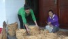 NHững sản phẩm từ mô hình đan bèo lục bình ở xã Quảng Sơn, thị xã Ba Đồn