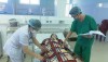 Bác sỹ Trần Quốc Huy thăm khám các bệnh nhân sau phẩu thuật