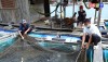 Các hộ nuôi cá lồng bè ở xã Quảng Lộc