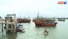 Thị xã Ba Đồn: Sản lượng thủy sản tăng  1,89%