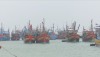 Thị xã Ba Đồn: Phát triển tổ hợp tác thủy sản trên biển