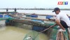 Thị xã Ba Đồn: Thiệt hại nuôi trồng thủy sản ảnh hưởng do mưa lớn.