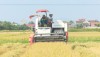 Thị xã Ba Đồn đẩy mạnh đầu tư cơ giới hóa trong tái cơ cấu ngành nông nghiệp