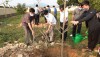Đồng chí Đoàn Minh Thọ- Phó Bí thư Thị uỷ, Chủ tịch UBND thị xã trồng cây tại Đình làng Minh Lệ, xã Quảng Minh.