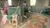 HTX Đũa gỗ Quảng Thủy tạo công ăn việc làm cho nhiều lao động tại địa phương.