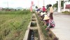 Người dân xã Quảng Lộc trồng hoa làm vệ sinh môi trường , tạo cảnh quan xanh - sạch-  đẹp