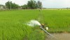 Thị xã Ba Đồn đảm bảo nguồn nước tưới, phục vụ sản xuất lúa  vụ Đông xuân năm 2022.