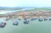 Thị xã Ba Đồn chú trọng hỗ trợ ngư dân khai thác vùng biển xa