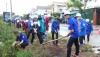 Thanh niên thị xã Ba Đồn thực hiện dự án “Biến bãi rác thành vườn hoa”