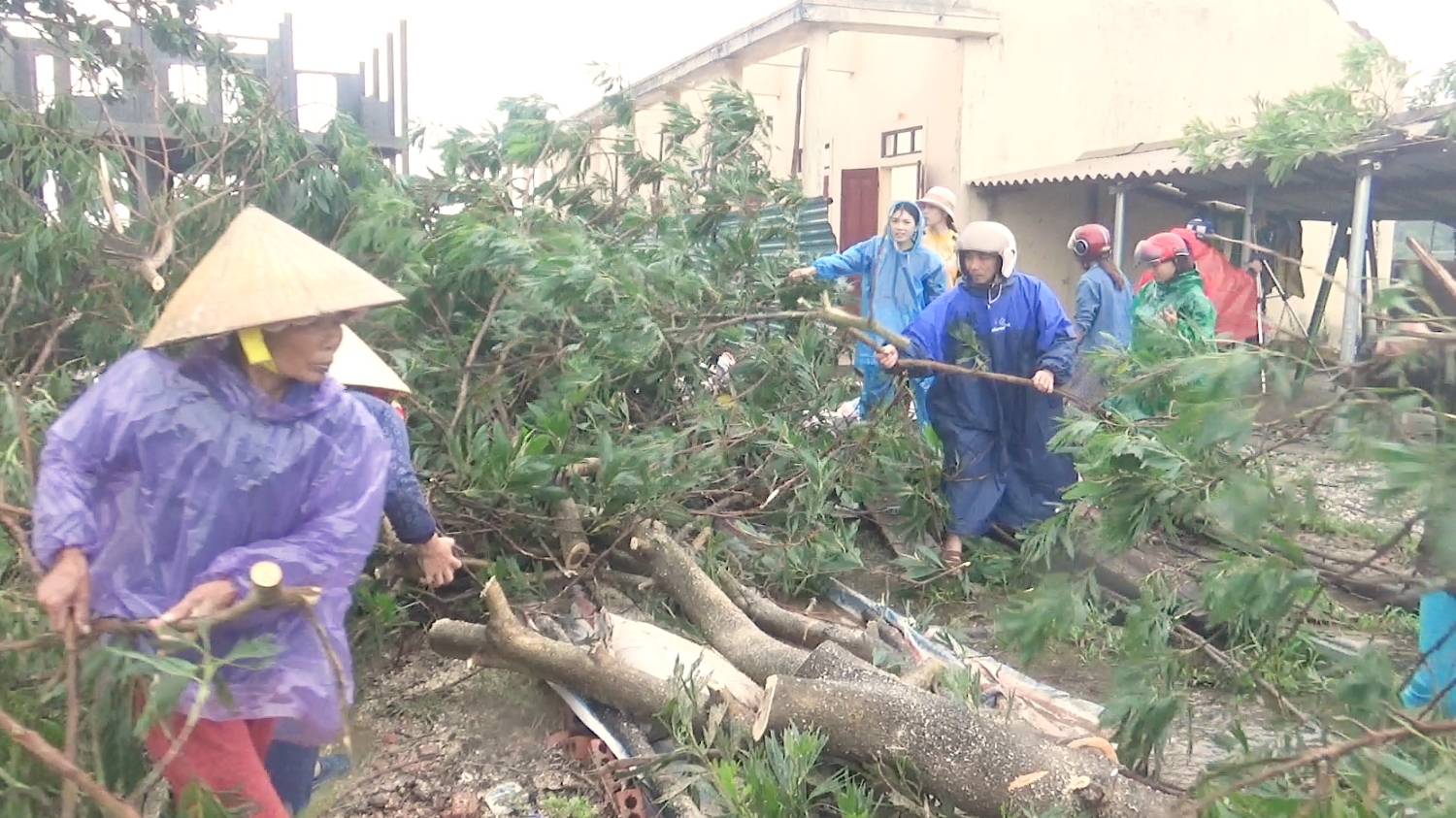 Các lực lượng và người dân dọn dẹp cây cối ngã đổ sau bão số 13