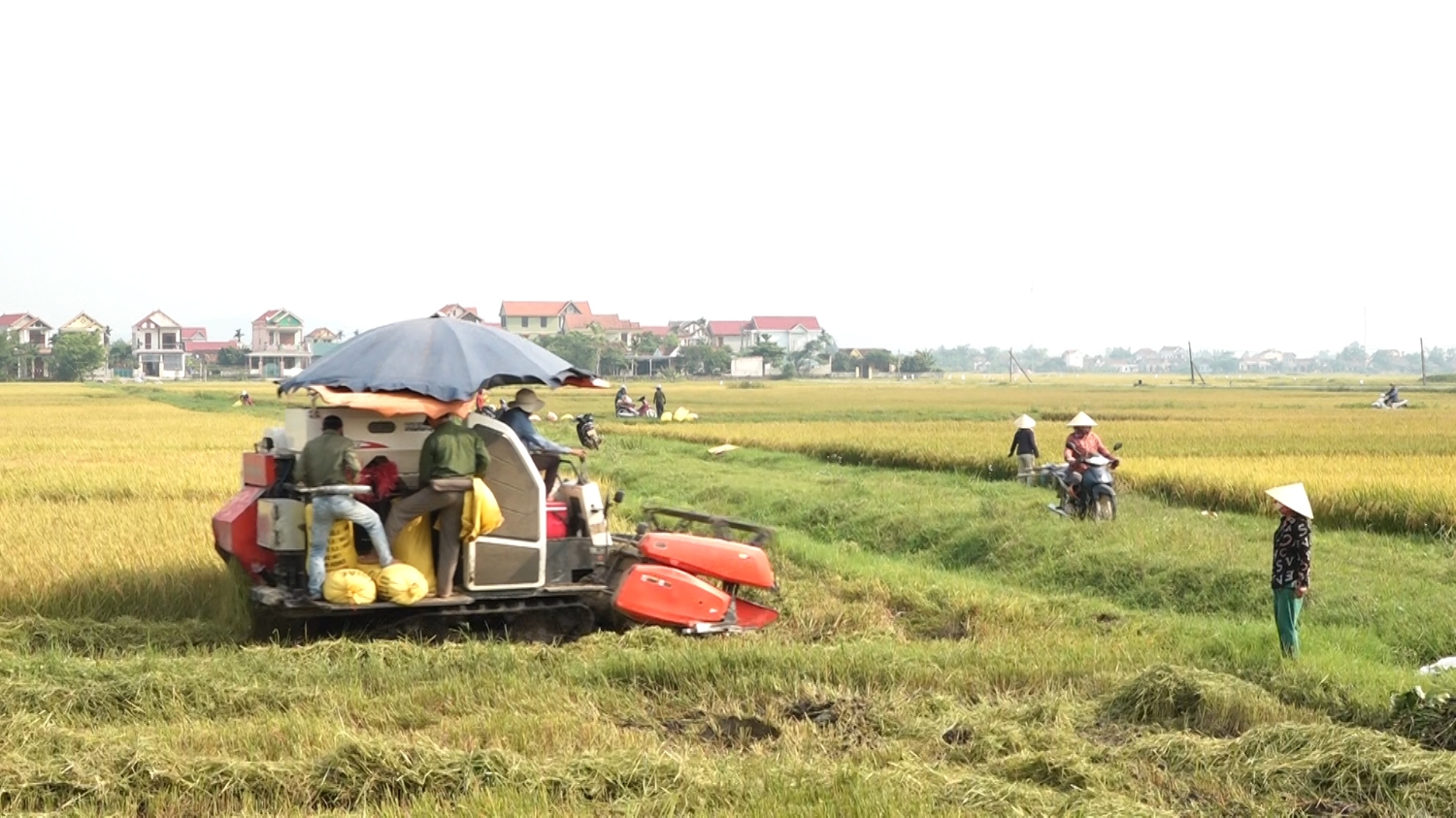 Nông dân thị xã Ba Đồn đưa cơ giới vào sản xuất góp phần nâng cao năng suất và chất lượng nền nông nghiệp