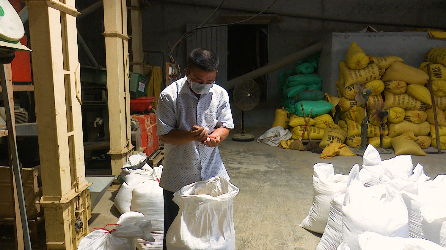 Anh Nguyễn Thanh Hương Chủ nhiệm Hợp tác xã sản xuất chế biến nông sản sạch Quảng Hòa đang kiểm tra chất lượng sản phẩm trước khi xuất ra thị trường