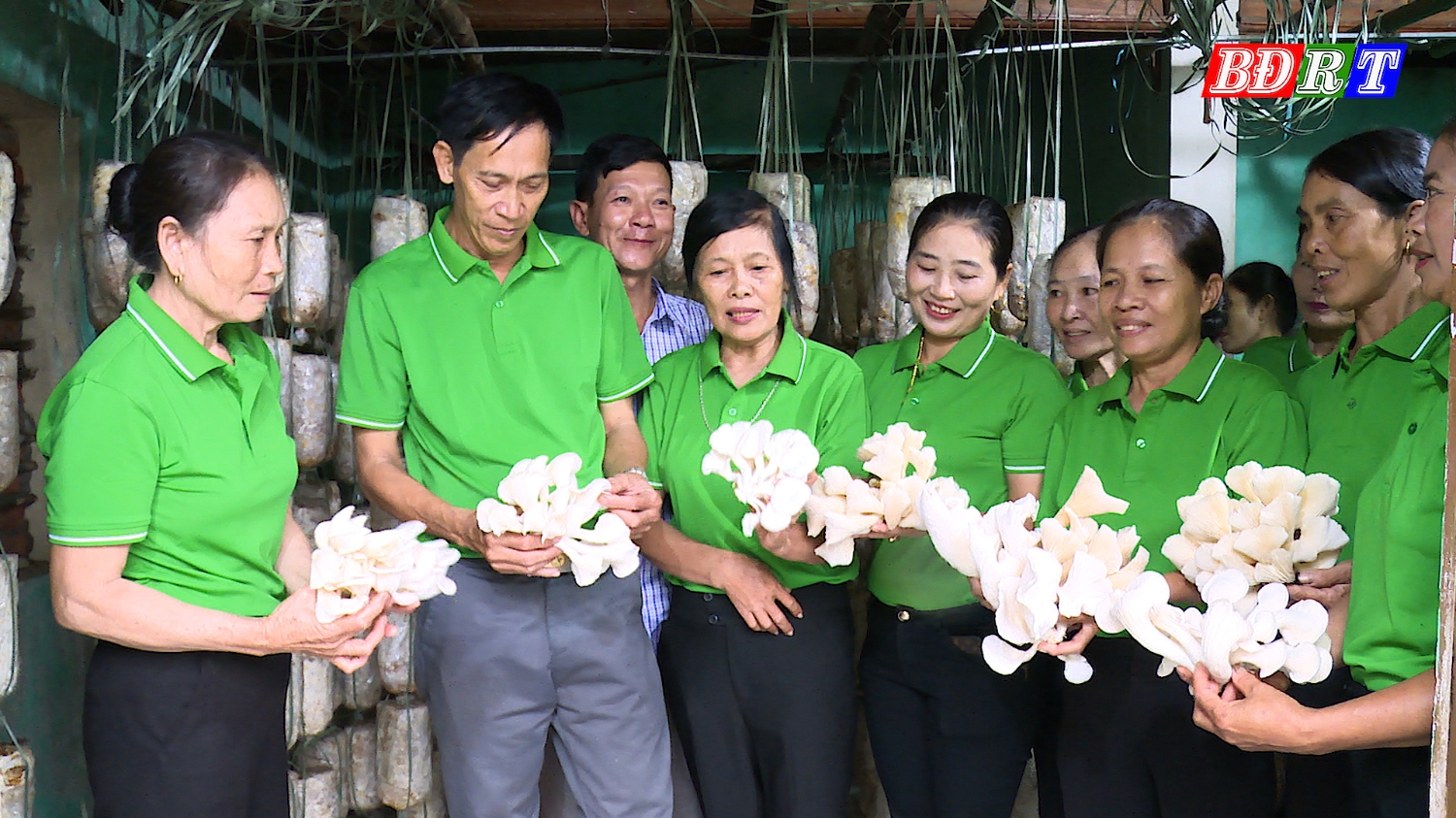 Lao động được đào tạo nghề trồng nấm cho hiệu quả kinh tế cao