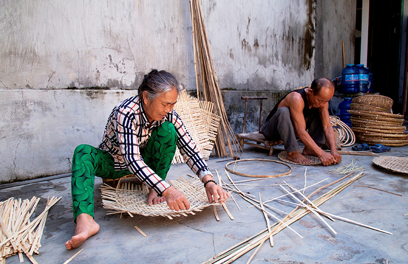 Trong làng có khoảng hơn 500 hộ vẫn giữ nghề đan truyền thống.