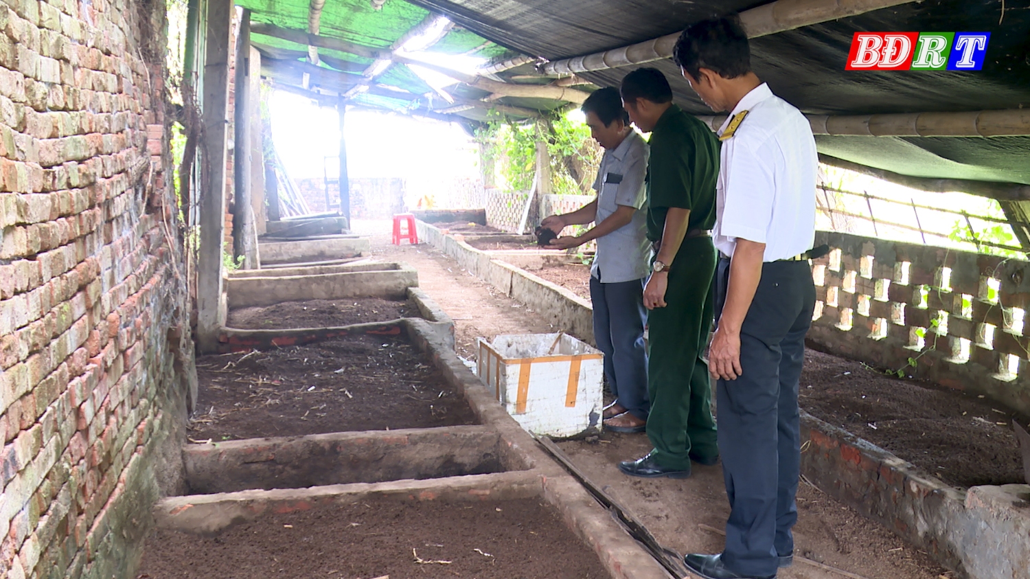 Giúp nhau phát triển kinh tế, xóa nghèo là một trong những phong trào thiết thực và ý nghĩa đang của Hội Cựu chiến binh thị xã Ba Đồn