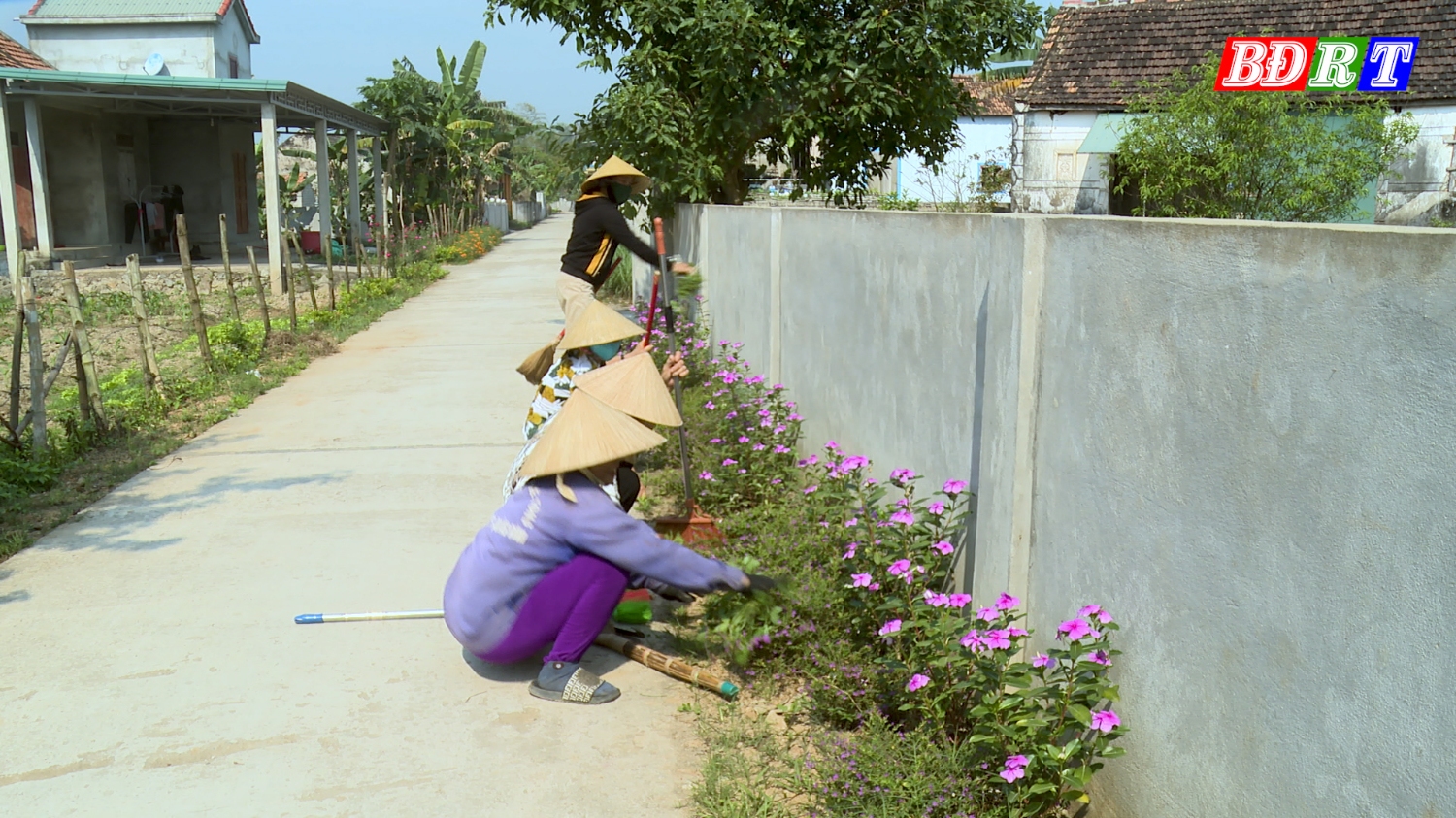 Người dân chăm sóc những tuyến đường hoa