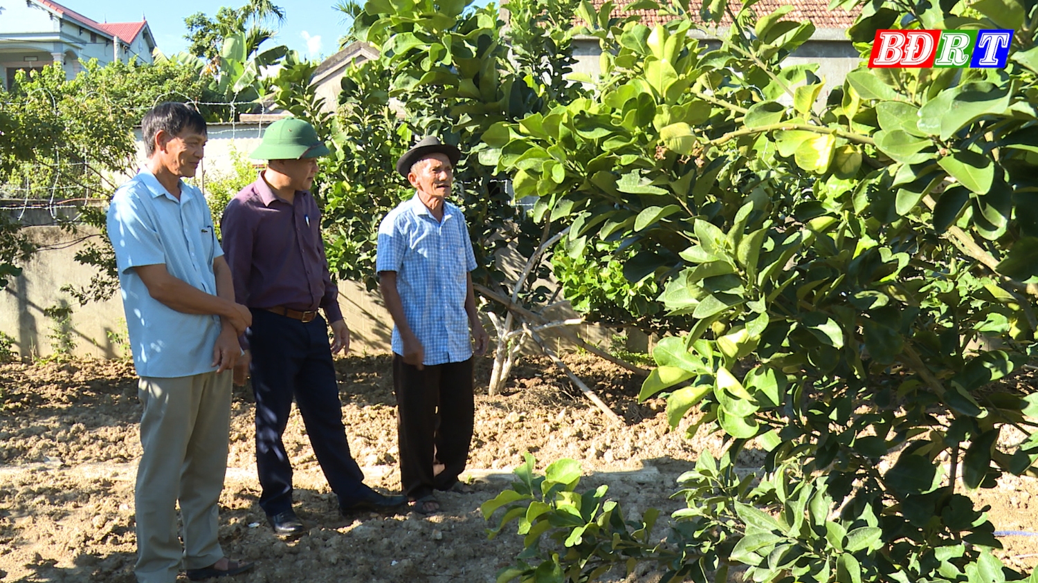 xã Quảng Trung luôn khuyến khích, tạo điều kiện cho nhân dân mở rộng, phát triển kinh tế