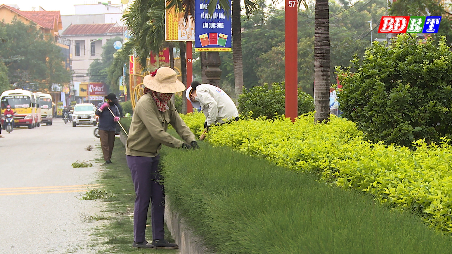 Cắt tỉa cây xanh, chỉnh trang đô thị xanh sạch đẹp