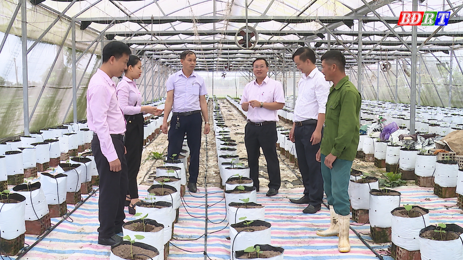 Hội viên nông dân thị xã Ba Đồn được tiếp cận với nguồn vốn vay ưu đãi từ Ngân hàng CSXH để phát triển kinh tế.
