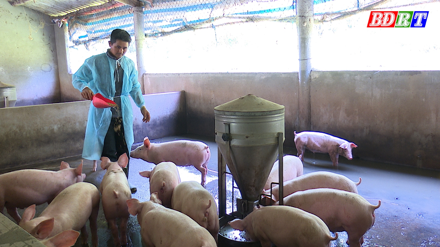 Công tác phòng, chống dịch bệnh luôn được chính quyền, các ngành, các cơ quan chuyên môn của thị xã đặt lên hàng đầu.