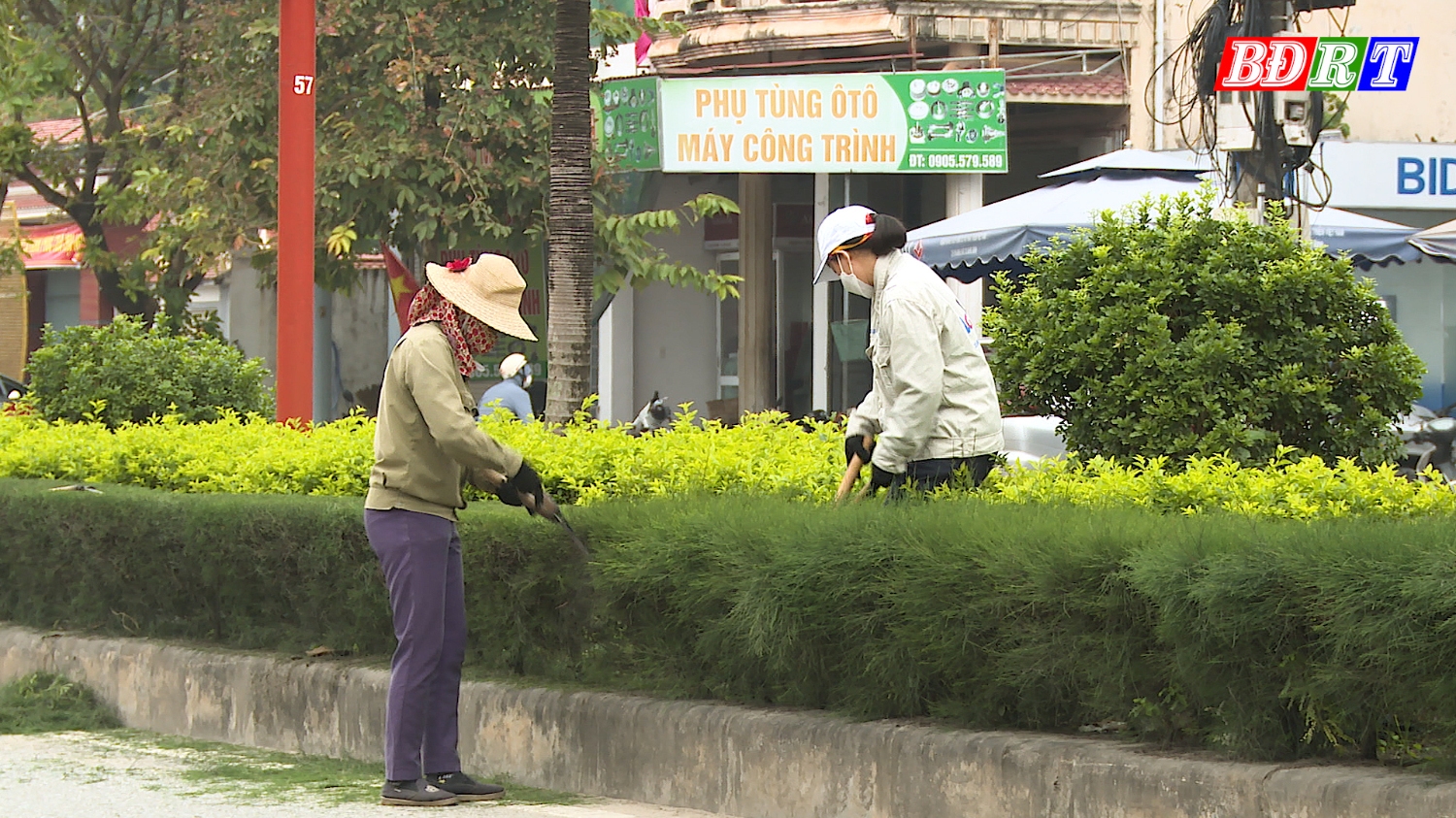 Thị xã tăng cường chỉ đạo trồng, chăm sóc cây xanh trên các dải phân cách các khu vực nội thị.