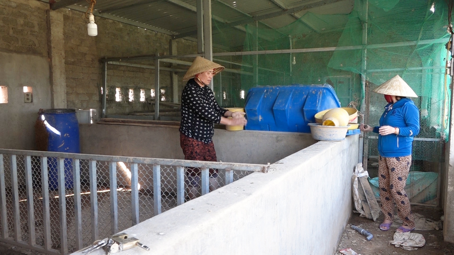 Gia đình chị Nguyễn Thị Hương đang tích cực dọn dẹp vệ sinh chuồng sau lũ và bão số 13