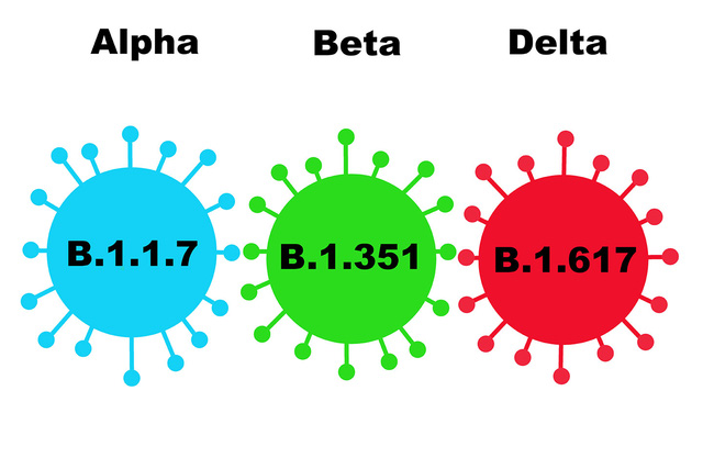 Một số biến thể của virus SARS- CoV-2.