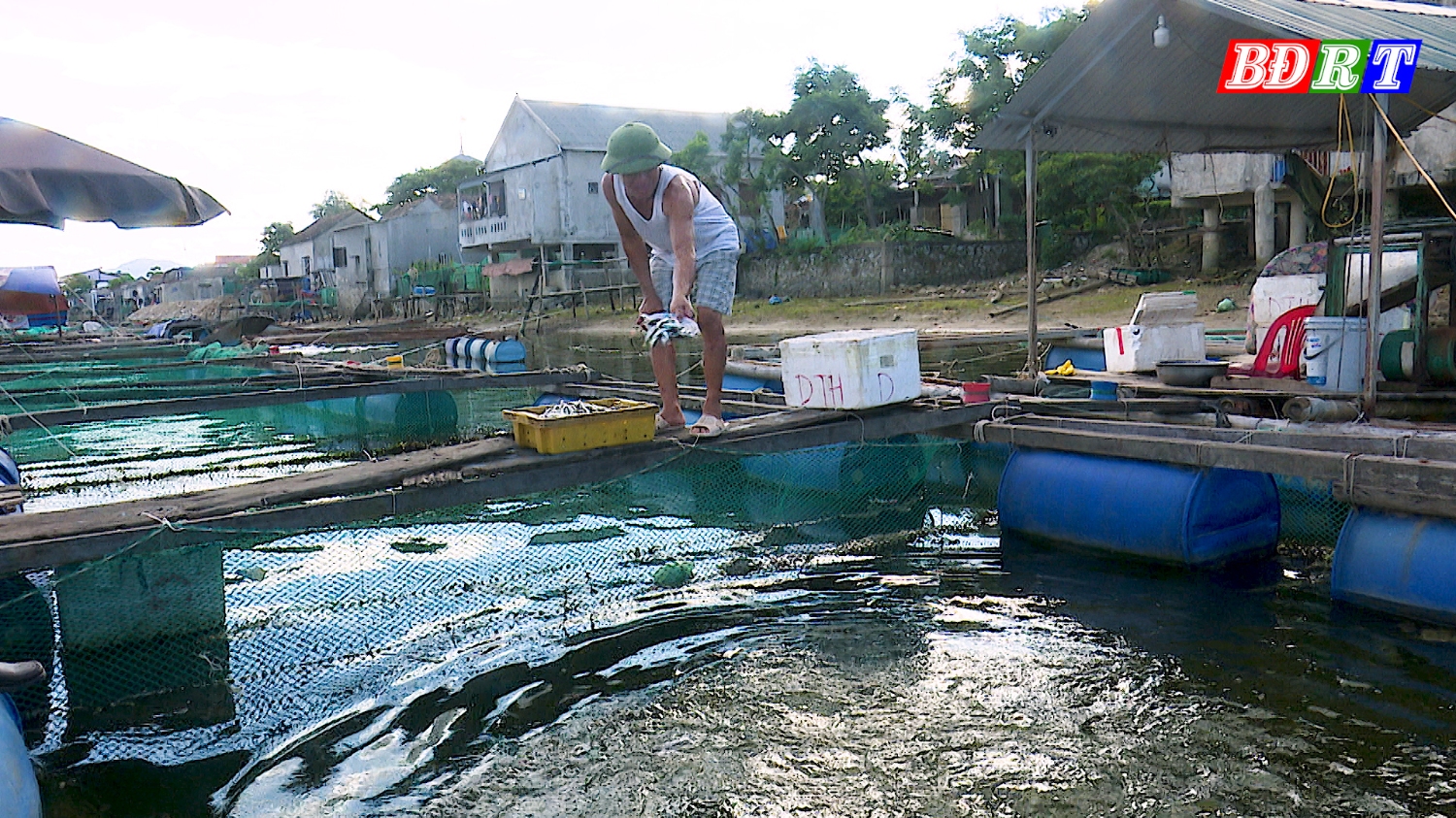 Thị xã Ba Đồn thực hiến các chính sách, hỗ trợ bà con vay vốn để đầu tư đánh bắt và nuôi trồng thủy sản