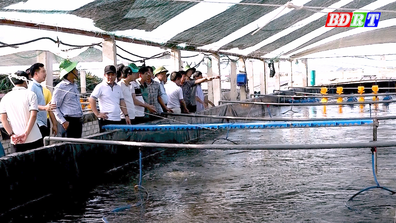 Tham quan, học hỏi kinh nghiệm tại khu cung cấp, nuôi trồng thủy sản của Bộ Nông nghiệp phát triển nông thôn tại xã Thanh Thủy, thị xã Nghi Sơn, tỉnh Thanh Hóa