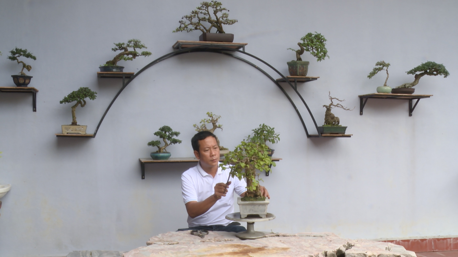 Anh Nguyễn Quang Tây chăm sóc cây với đôi bàn tay khéo léo (1)