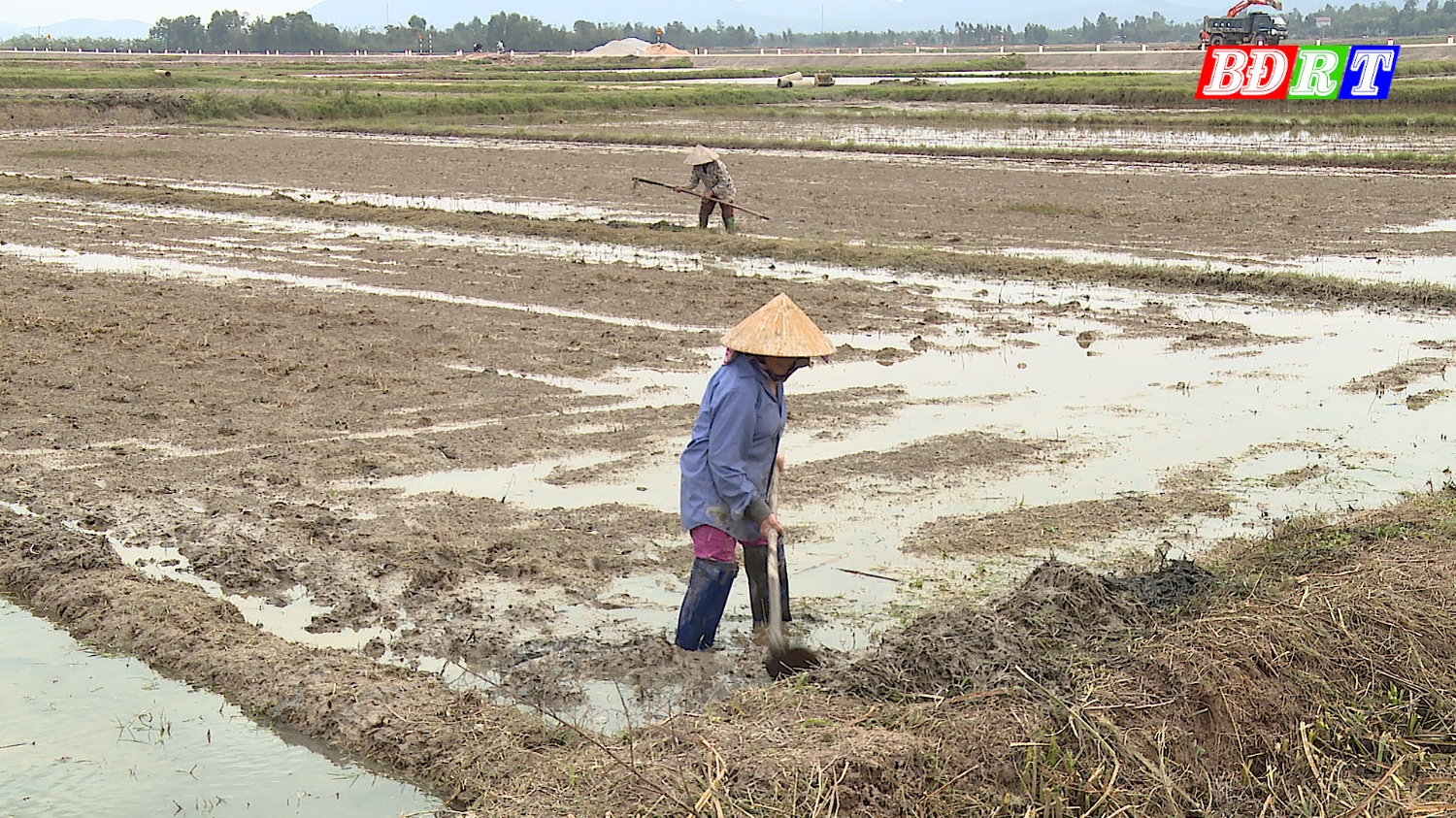 Thị xã Ba Đồn: Sẵn sàng sản xuất lúa vụ đông xuân 2022-2023.