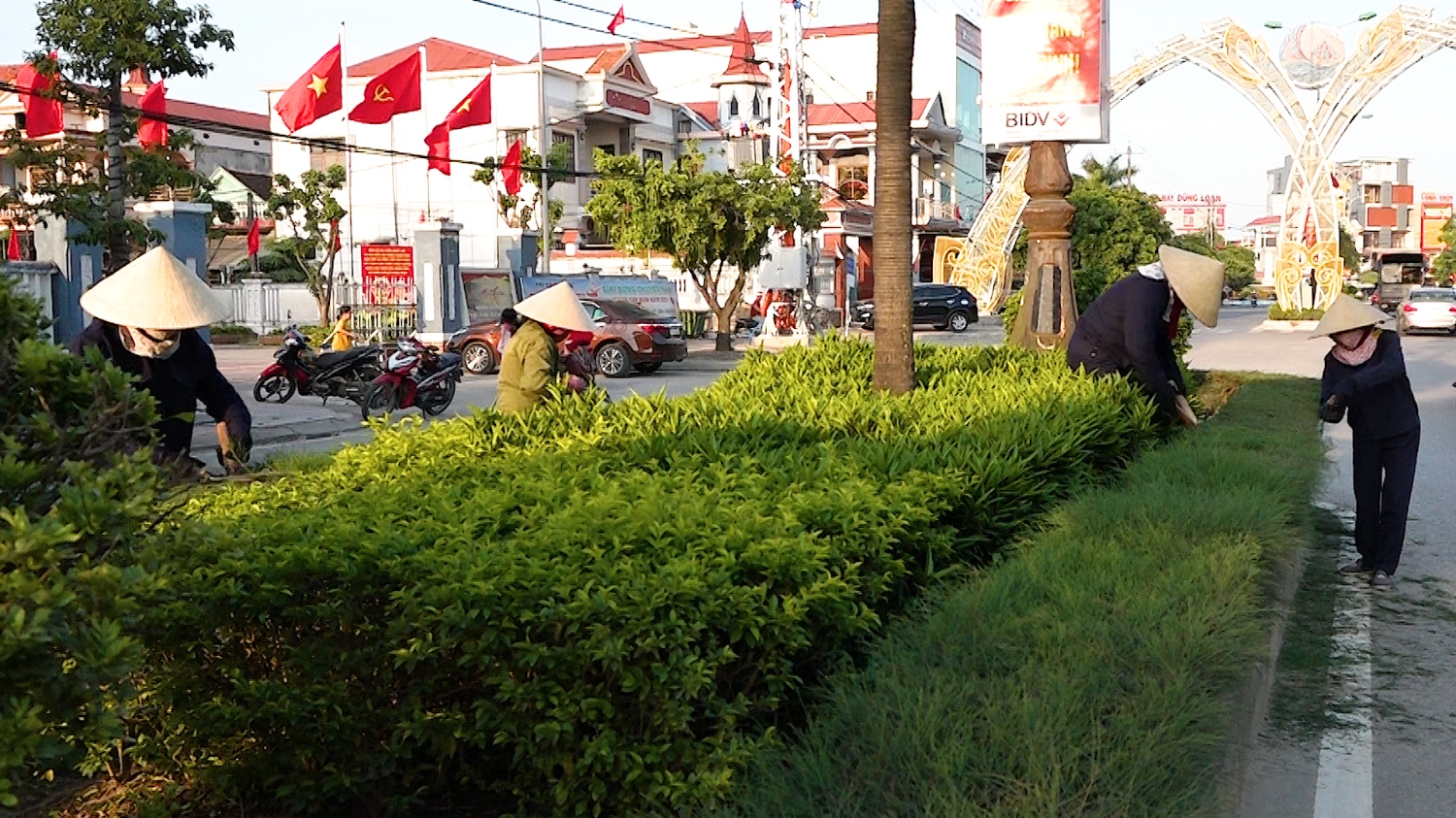 Ban quản lí CCTCC thị xã chăm sóc vườn hoa, cây cảnh trên các trục đường chính