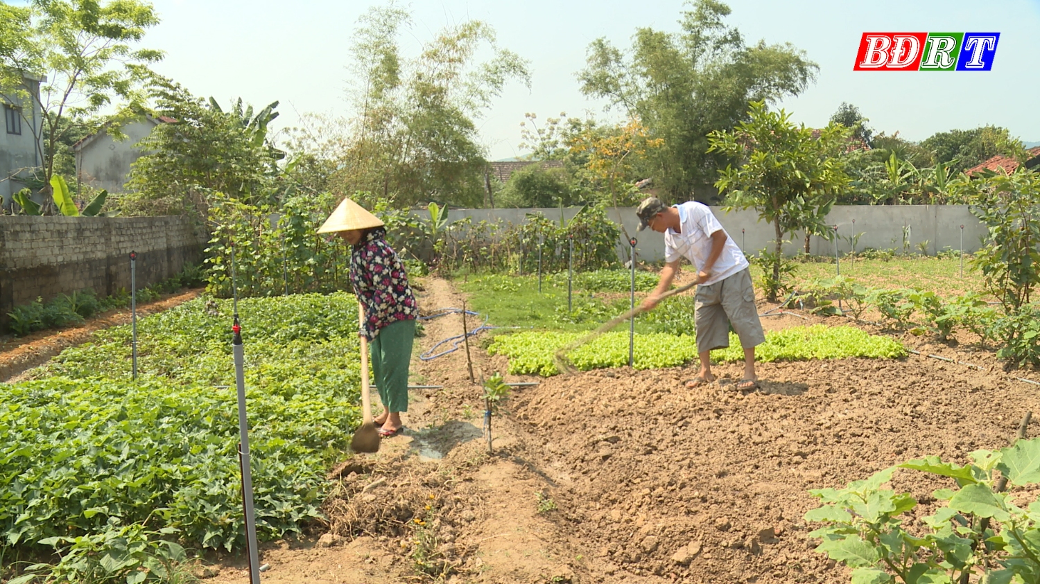 Các vườn mẫu nông thôn mới không chỉ tạo cảnh quan đẹp mà còn nâng cao thu nhập, đời sống cho người dân địa phương