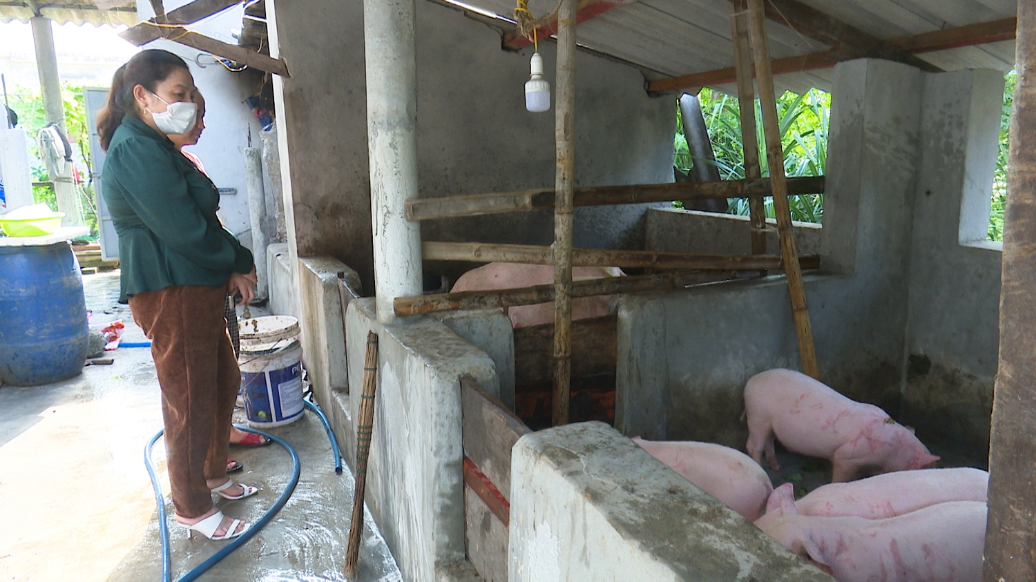Chị Võ Thị Minh thăm mô hình chăn nuôi lợn của chị Nguyễn Thị Hoa TDP Diên Phúc