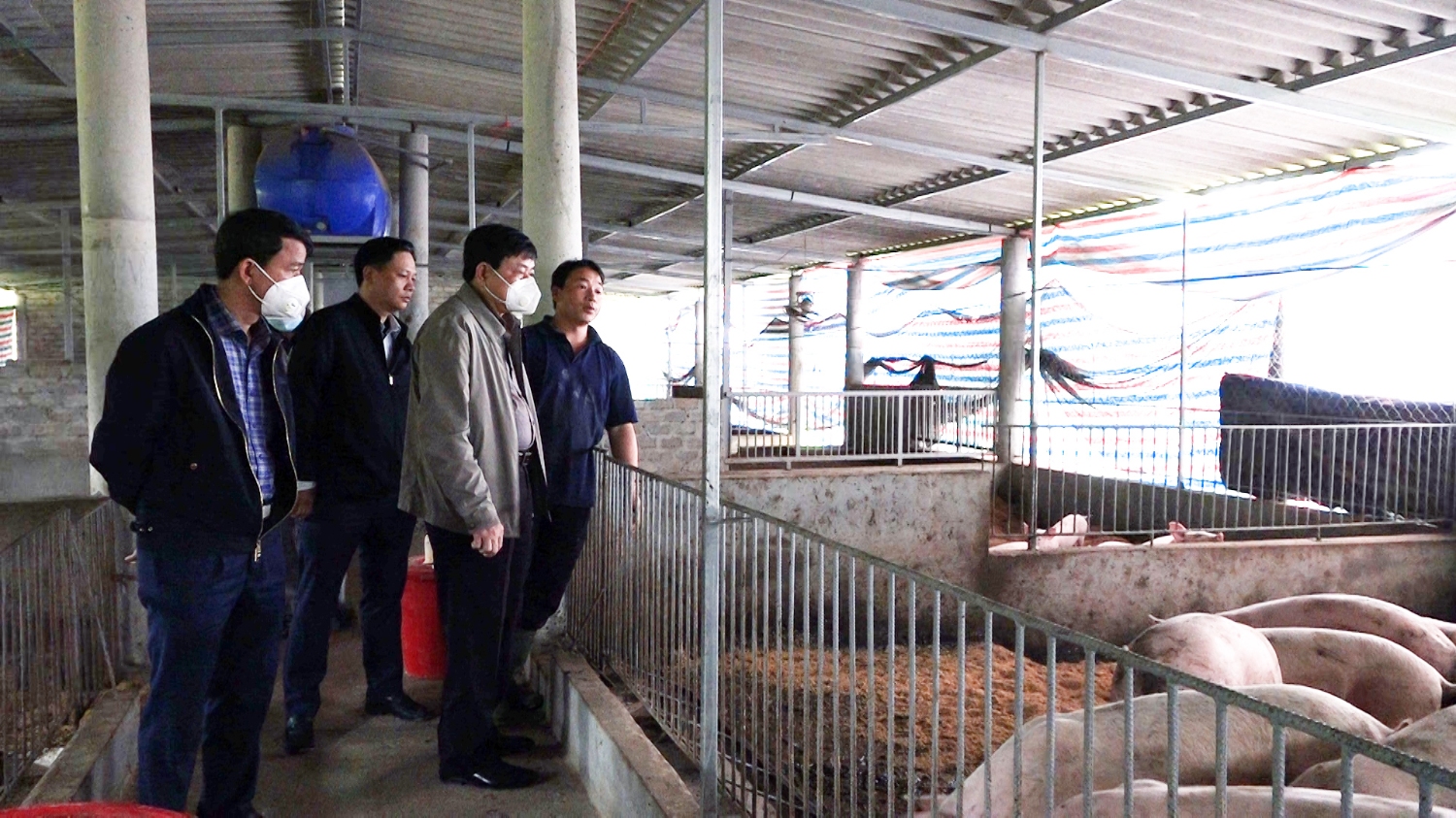 Đồng chí Chủ tịch UBND thị xã Ba Đồn thăm và kiểm tra mô hình trang trại của anh Đoàn Ngọc Lâm ở xã Quảng Tiên.