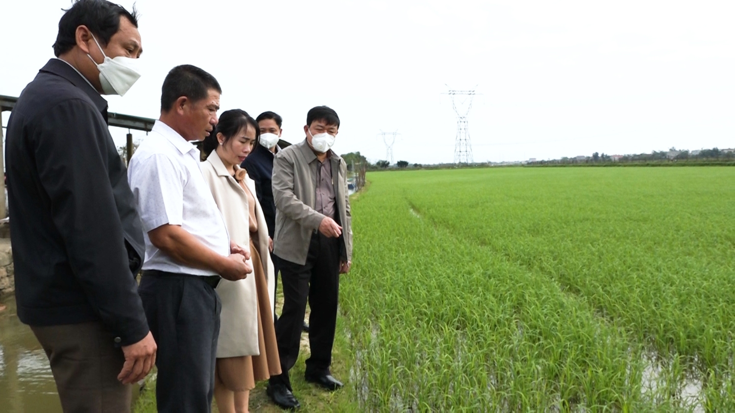 Đồng chí Chủ tịch UBND thị xã và đoàn công tác thăm mô hình sản xuất gạo hữu cơ tại xã Quảng Hòa