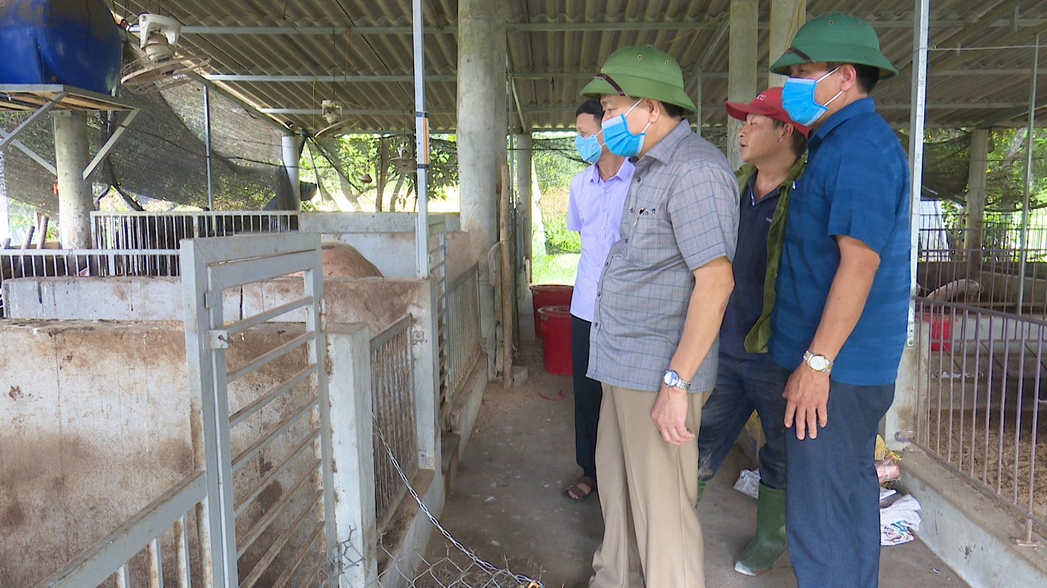Đồng chí Chủ tịch UBND thị xã thăm, kiểm tra mô hình nuôi lợn theo hướng hữu cơ của anh Đoàn Ngọc Lâm, thôn Tiên Phan, xã Quảng Tiên,