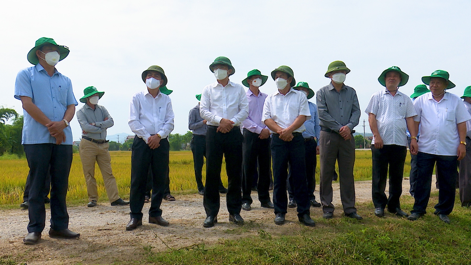 Đồng chí Trương An Ninh, Ủy viên Ban Thường vụ Tỉnh ủy, Bí thư Thị ủy Ba Đồn đánh giá cao năng suất và chất lượng giống lúa ST25.