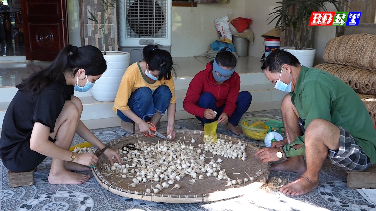 HTX sản xuất tỏi Quảng Minh đang ngày càng chiếm trọn tình cảm của người tiêu dùng.