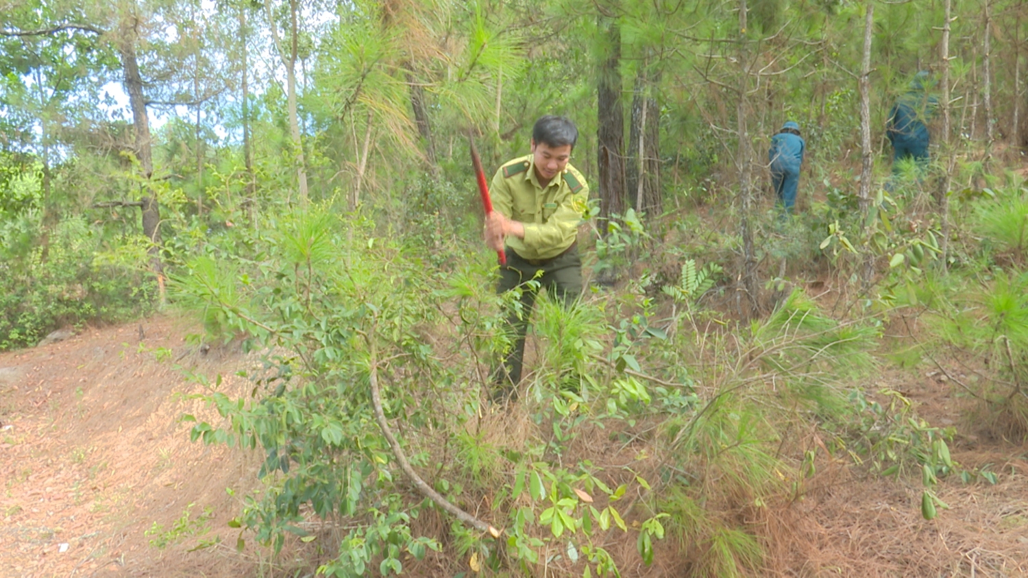 Lực lượng Kiểm lâm và DQTV xã Quảng Sơn phát cây, don thục bì phòng chống cháy rừng.