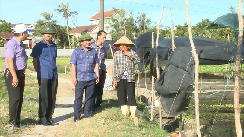 Đồng chí Phạm Quang Long, Phó Bí thư Thị ủy, Chủ tịch UBND thị xã Ba Đồn thăm hỏi bà con nông dân tại phường Quảng Long