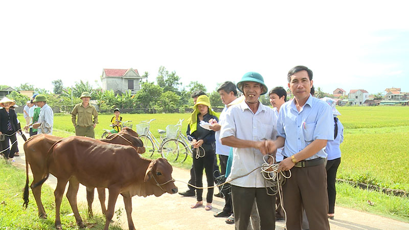 Mặt trận TQVN thị xã Ba Đồn: trao bò giống sinh sản cho hộ nghèo đợt 2 năm 2018.